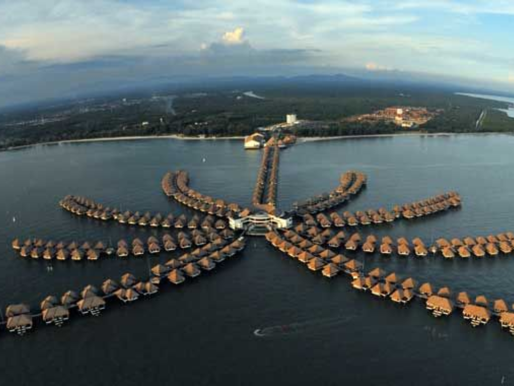 Golden Palm Tree Malaysia image